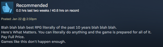 Illustration for article titled Divinity: Original Sin 2, As Told By Steam Reviews